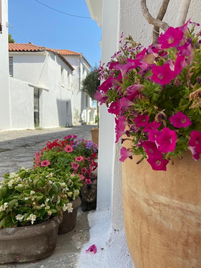 Raphael Skiathos Living-Venetia Villa Exterior photo